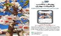 پویش « عکاسی از طبیعت بهاری » برگزار می شود